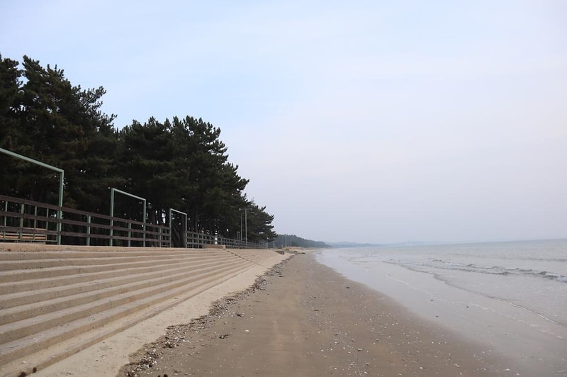 몽산포오토캠핑장 2구역 시설 사진 23