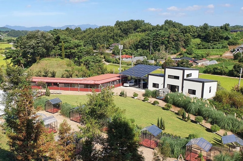 더힐링식물원 야영장 시설 사진 25