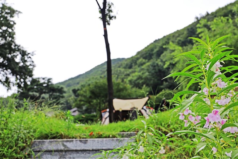 용인 자연숲 캠핑장 시설 사진 2