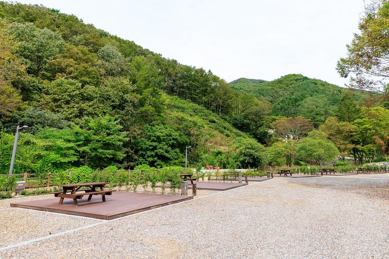 성수산 왕의숲 국민여가캠핑장 시설 사진 5