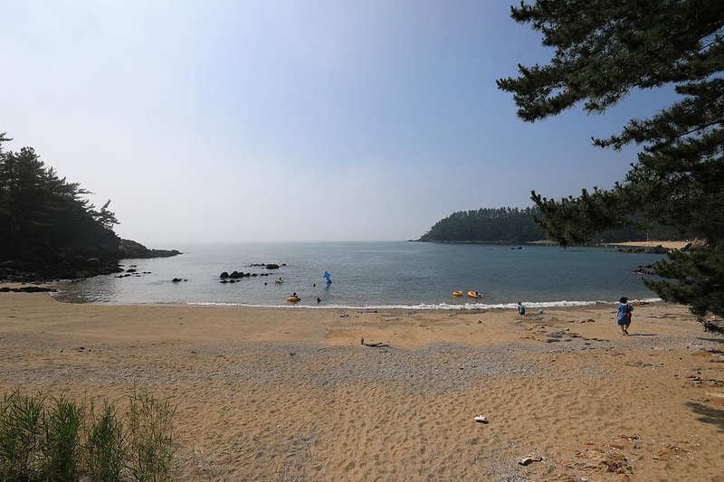 SE클럽(태안둘레길캠핑장&펜션) 시설 사진 1