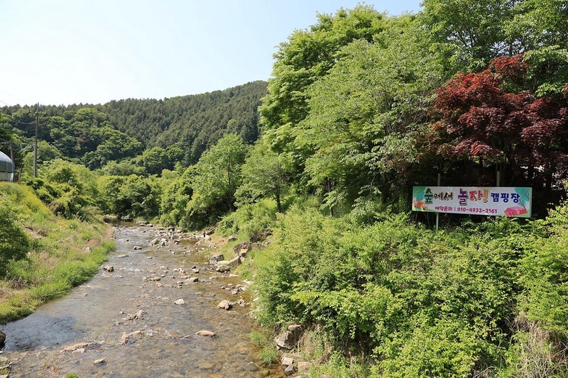 숲에서 놀자 시설 사진 18