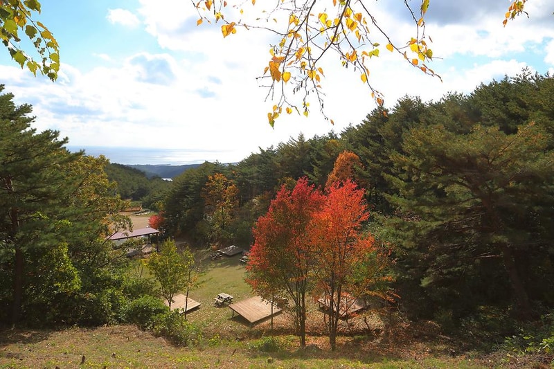 칠보산자연휴양림야영장 시설 사진 13