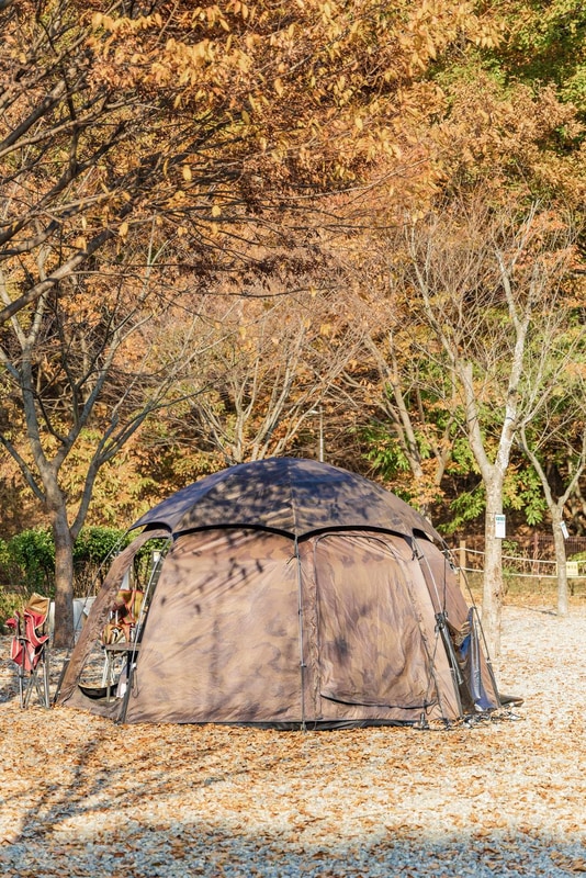 초막골생태공원 느티나무야영장 시설 사진 31