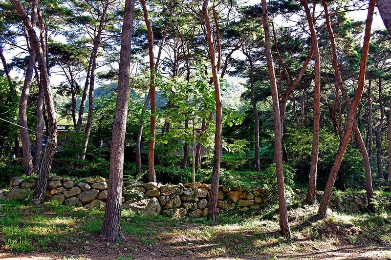 섬지캠핑장 시설 사진 41