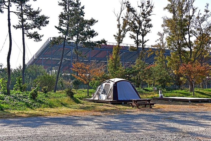 F1오토캠핑장 시설 사진 6