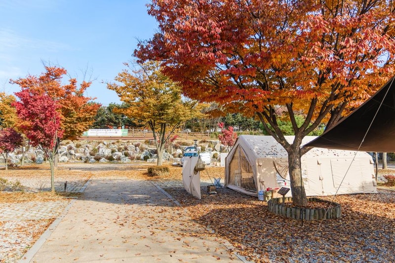 화성시 향남 오토캠핑장 시설 사진 74