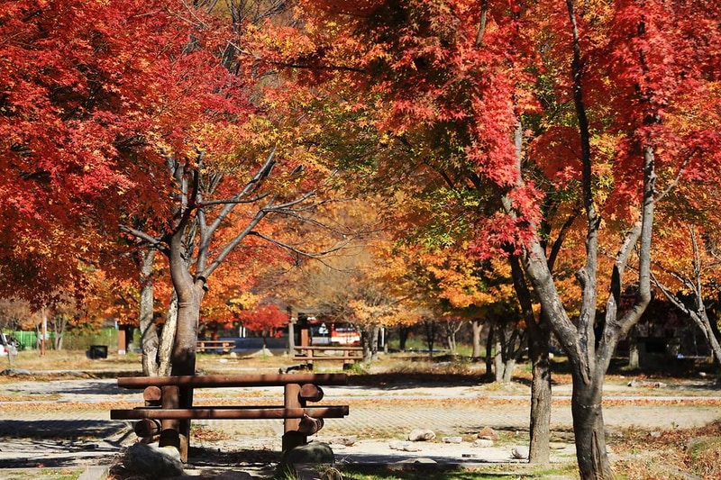 달궁자동차야영장 시설 사진 44