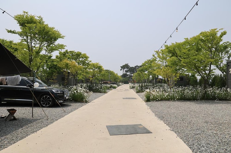 해미 모꼬지 캠핑장 시설 사진 2