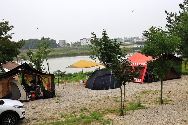 대부도 아라뜰 캠핑장 시설 사진 15