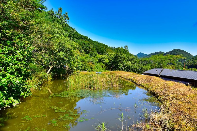 캠프1530 시설 사진 10