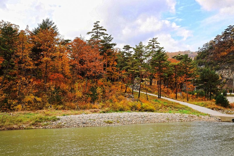 강릉 노추산 힐링캠프 시설 사진 13