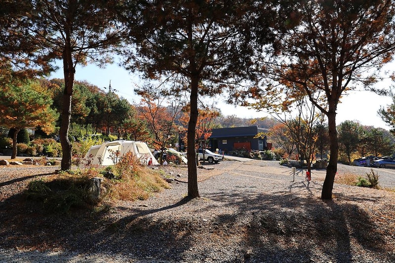 라곰 시설 사진 15