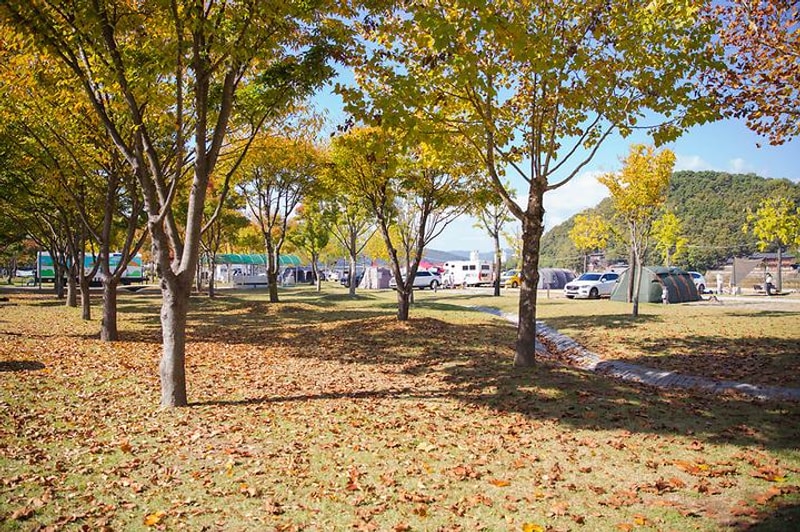 정양레포츠공원 오토캠핑장
