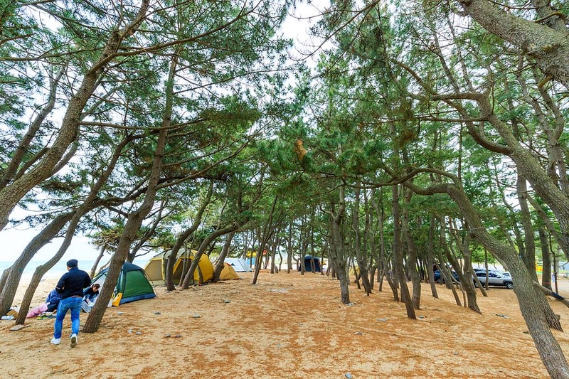 화진해수욕장마을번영회야영장 시설 사진 2