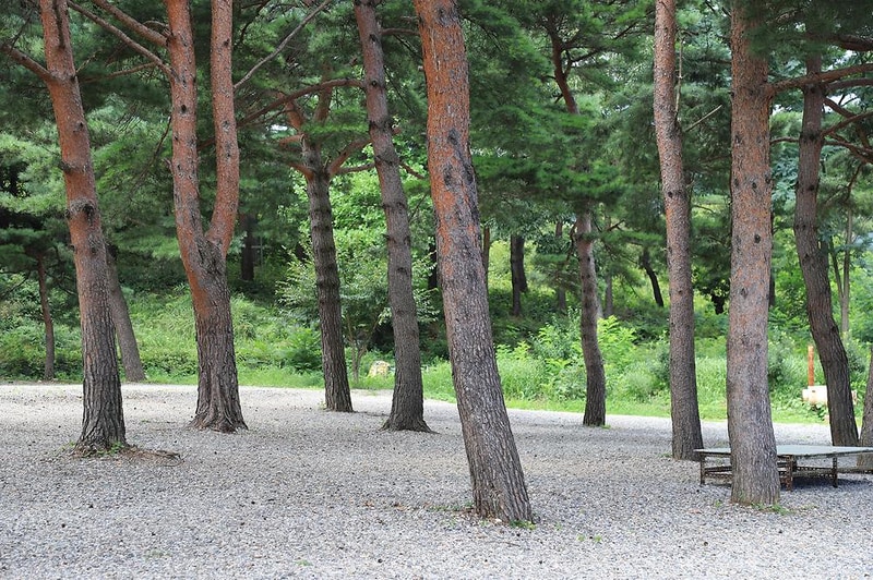 삼척엘림캠핑장 시설 사진 27