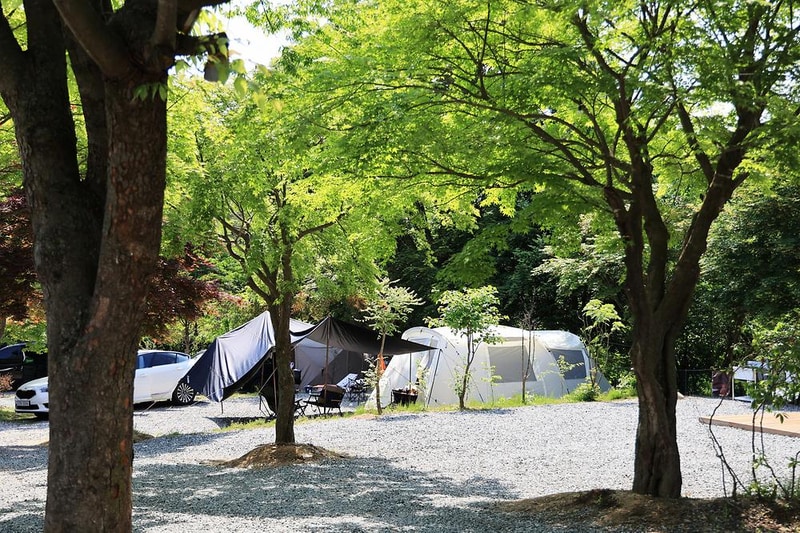 숲에서 놀자 시설 사진 20