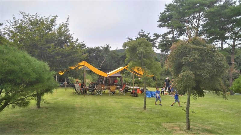 숲속의베리팜 시설 사진 36