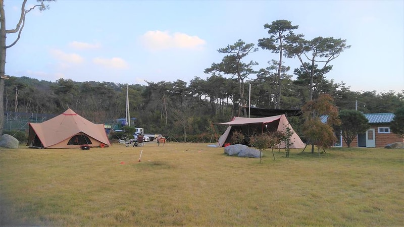 숲속의베리팜 시설 사진 7