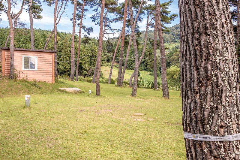 솔내음 물댄동산 야영장 시설 사진 8