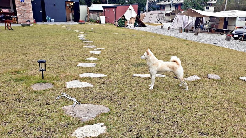 캠프히어 시설 사진 32