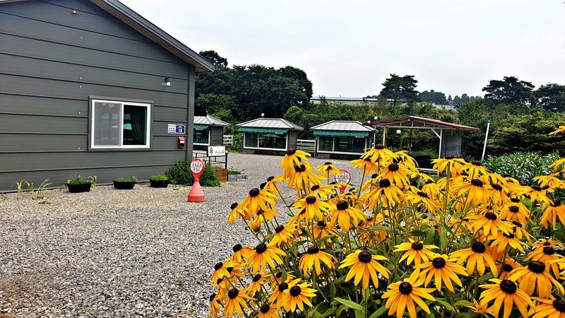 숲캠핑장 시설 사진 38