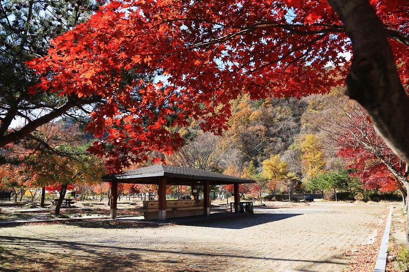 달궁자동차야영장 시설 사진 43