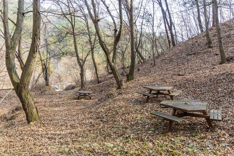 전월산 국민여가캠핑장 시설 사진 70