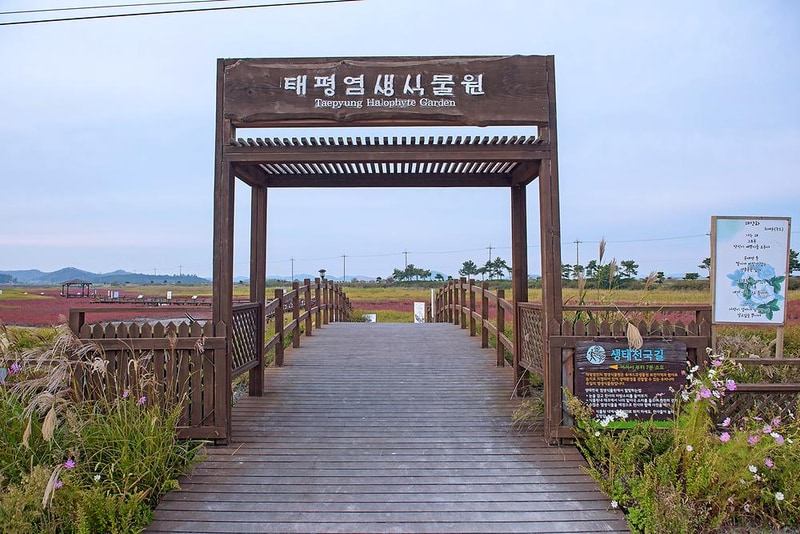 (주)태평소금 천일염 힐링캠프 시설 사진 6