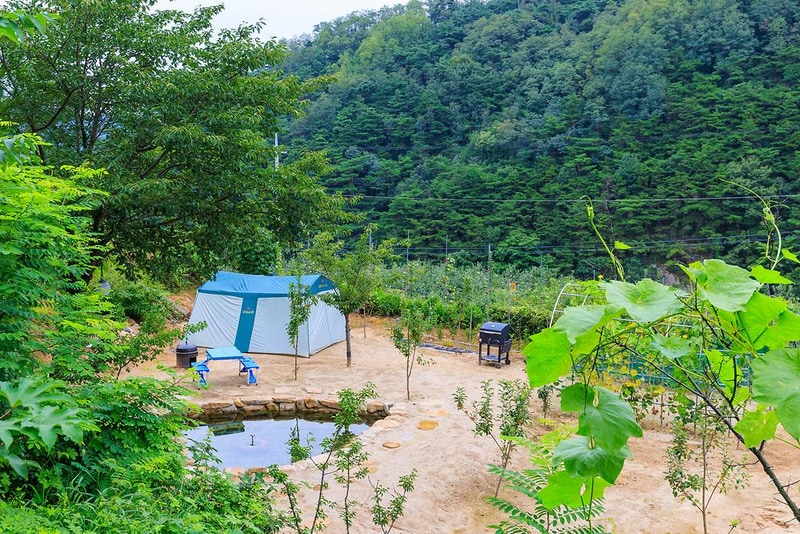 동산오토캠핑장 시설 사진 8