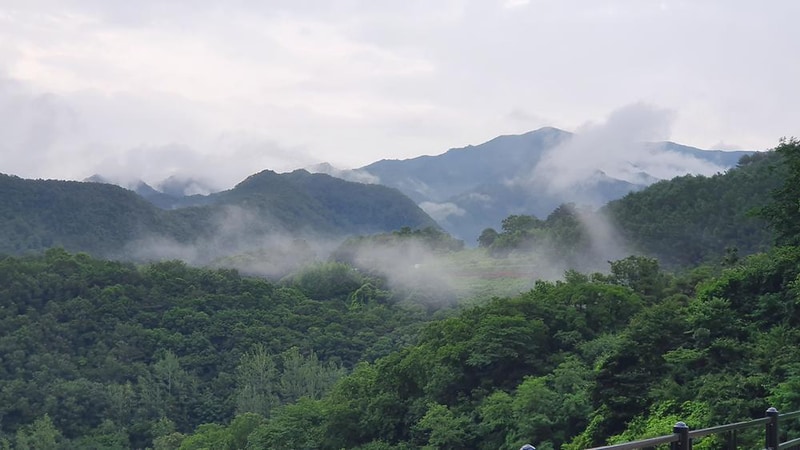 단양 도담캠핑장 시설 사진 1