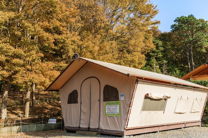 초막골생태공원 느티나무야영장 시설 사진 44