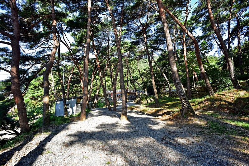 섬지캠핑장 시설 사진 42