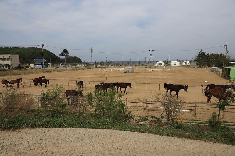 명파 해변 오토캠핑장 시설 사진 1
