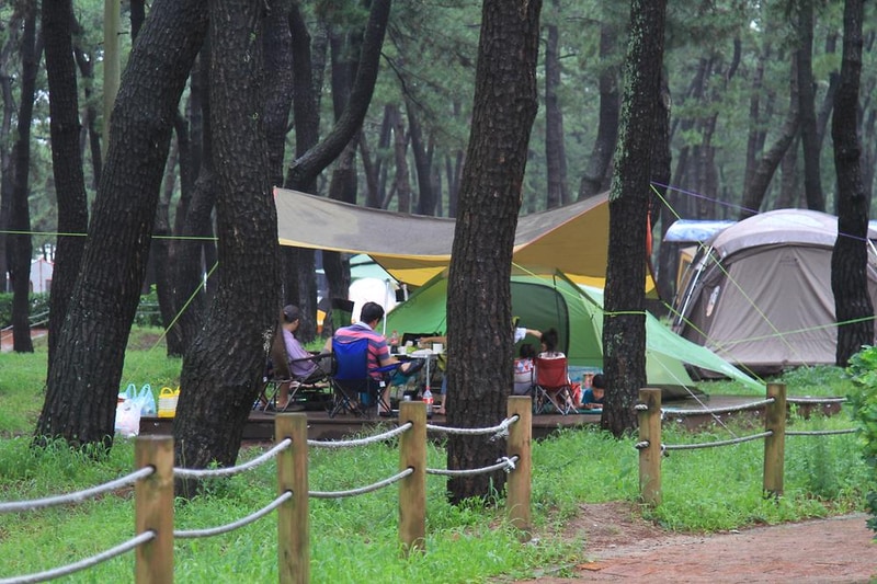 연곡해변 솔향기캠핑장 시설 사진 7
