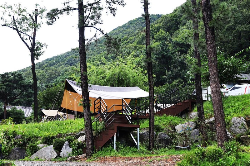 용인 자연숲 캠핑장 시설 사진 14