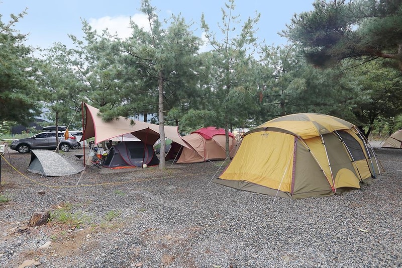 청도 지오오토캠핑장 시설 사진 4