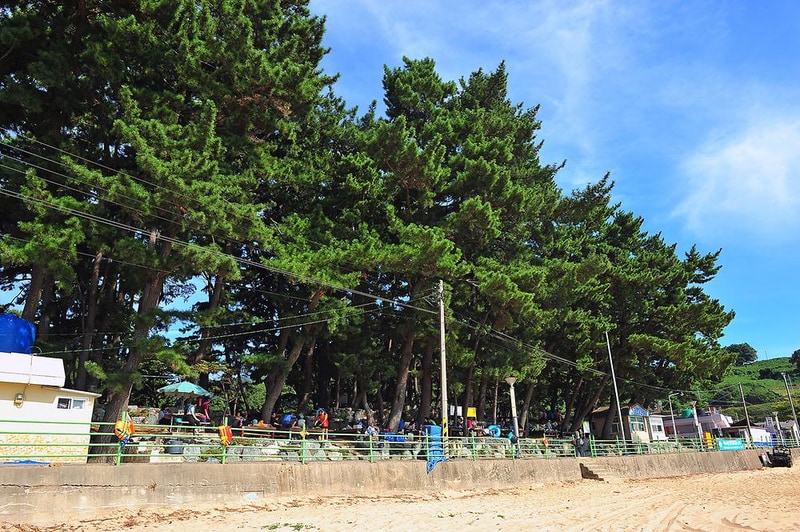 사촌해수욕장야영장 시설 사진 9