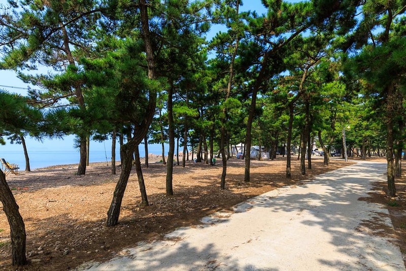 서산벌천포캠핑장 시설 사진 18