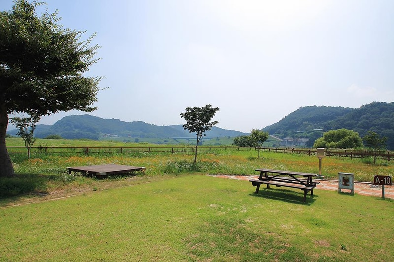 청양 동강리 오토캠핑장 시설 사진 3