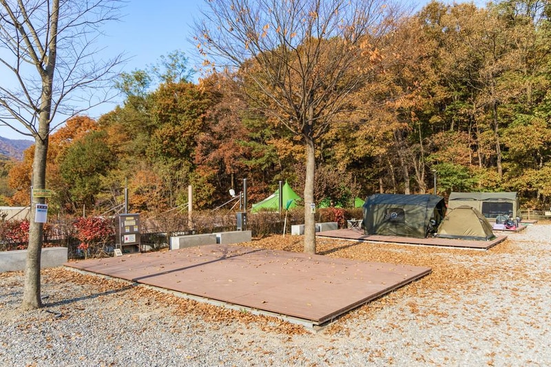 초막골생태공원 느티나무야영장 시설 사진 57