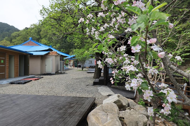 양양캠핑장 시설 사진 2