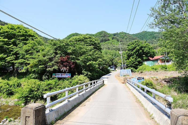 숲에서 놀자 시설 사진 17