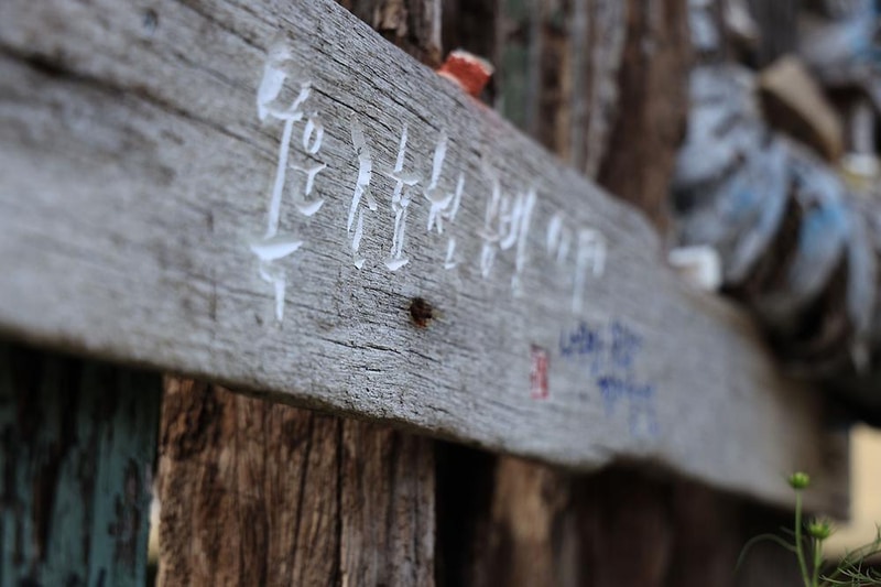 버드하우스 캠핑장 시설 사진 23