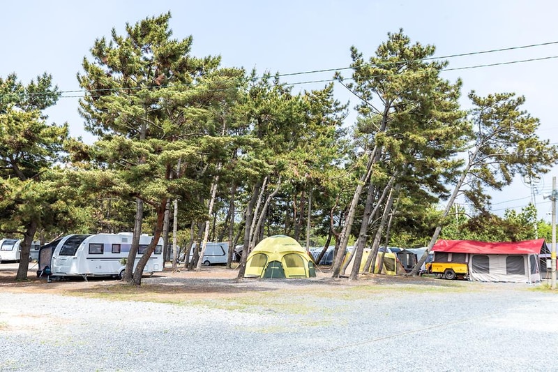 몽산포오션캠핑장 시설 사진 8