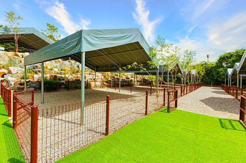 드루왈 캠핑장 시설 사진 16