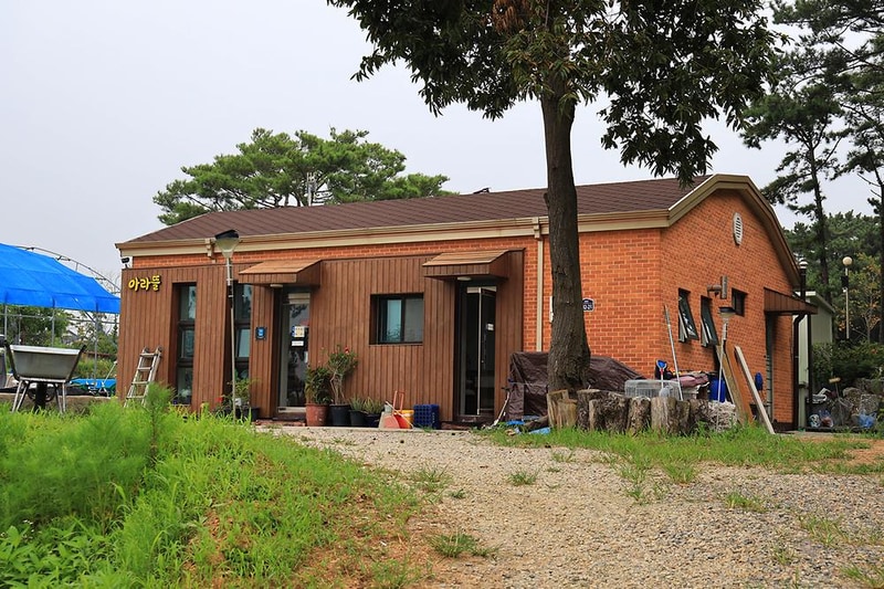 대부도 아라뜰 캠핑장 시설 사진 16