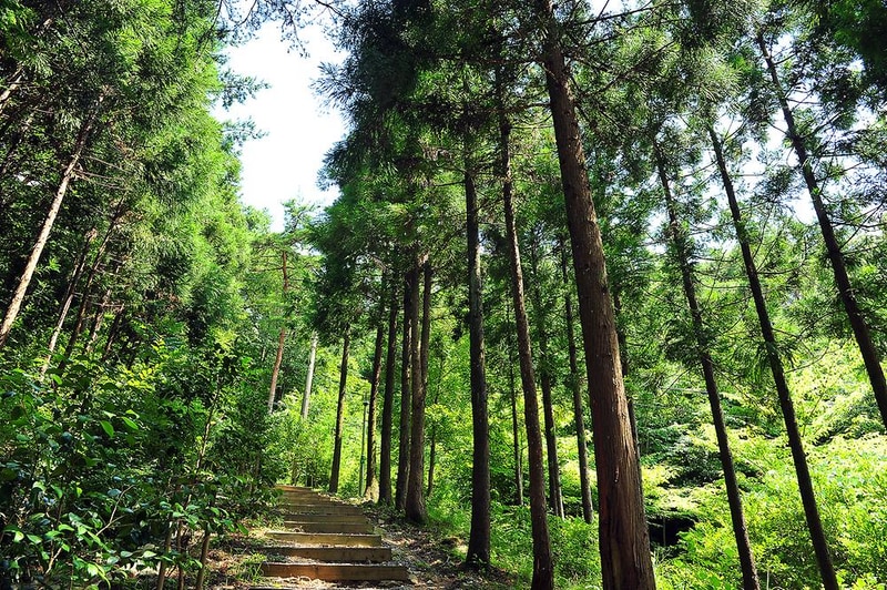 국립천관산자연휴양림 시설 사진 2