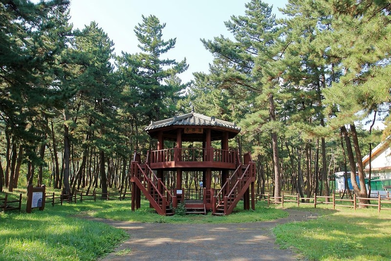 망상오토캠핑리조트 시설 사진 17