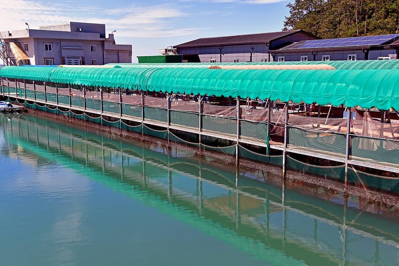 땅끝바다낚시터&글램핑 시설 사진 5